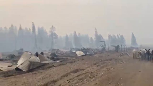 Бясь-Кюёль, коровы пришли на дойку, а домов нет... смотреть онлайн