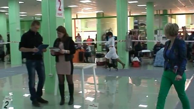Enisol Zefir Zarbazan JCAC Belgorod CACIB 06 04 14 смотреть онлайн