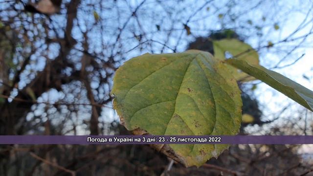 Погода в Україні на 3 дні: незабаром стане значно тепліше | Погода на 23 - 25 листопада 2022 смотреть онлайн
