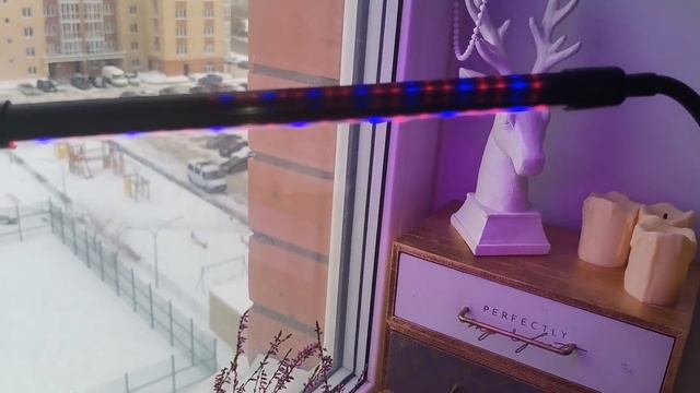 Фикс прайс ПОКУПКИ?Лампа для рассады?Заказ одежды Lucky-child