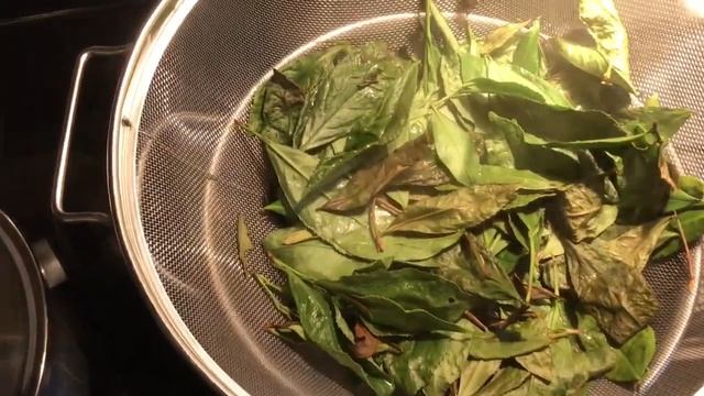 Homegrown Green Tea- From Camellia to Cup. смотреть онлайн