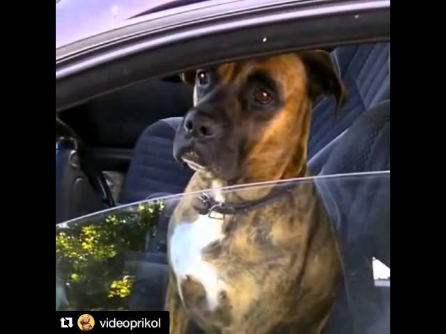 Не употреблял смотреть онлайн