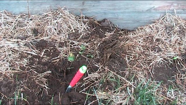 Преимущество теплых грядок осенью! // Секреты хороших урожаев. смотреть онлайн