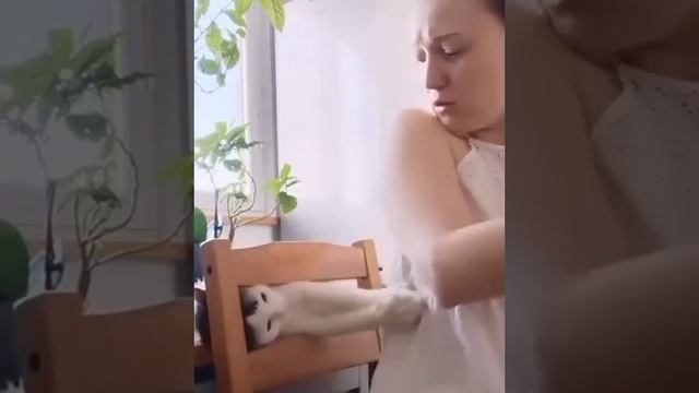 Хорошая идея смотреть онлайн