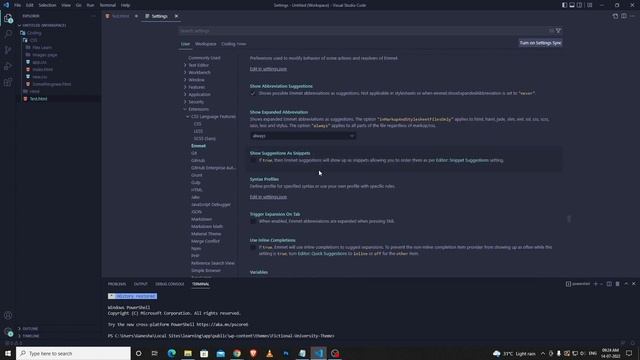 Visual Studio Code Emmet Not Working | ! + ENTER not working смотреть онлайн