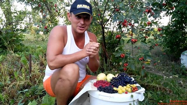 Крупный вялено- копченый карп. Это объедение! смотреть онлайн