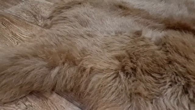 ОВЕЧЬЯ ШКУРА МЕДНОГО ОКРАСА ПУШИСТАЯ (КОД: 4570) смотреть онлайн