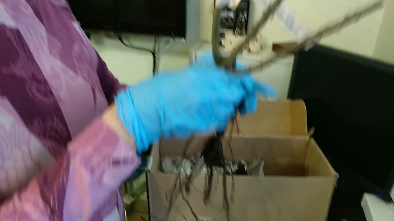 Посылка из Розомании, в 2-х частях.Японские розы. Китайская пословица. И "ценный"совет от питомника. смотреть онлайн