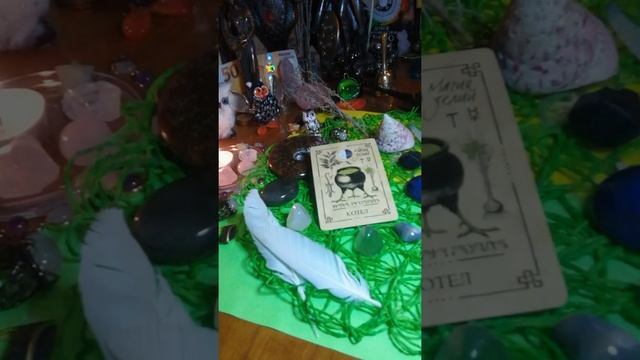 Викканский Оракул Теней. Карта "Котёл". смотреть онлайн