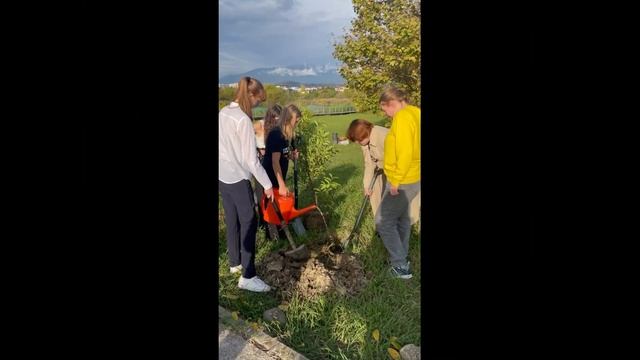 Посадка аллеи лавровишни в Природном орнитологическом парке смотреть онлайн