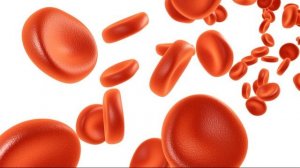 ЛЕЙКОЦИТЫ КРОВИ | Почему уровень лейкоцитов в крови понижен и что с этим делать