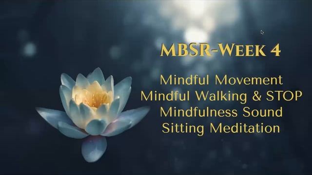 MBSR Week 4: Mindfulness Sound & Sitting Meditation
