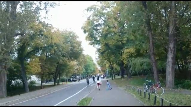 Payız/ Autumn/ 秋 / Hokkaido University in early autumn/ Университет Хоккайдо в начале осени смотреть онлайн