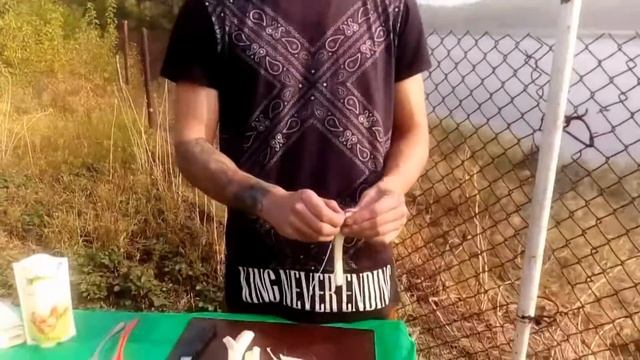 Анимационные Сериалы