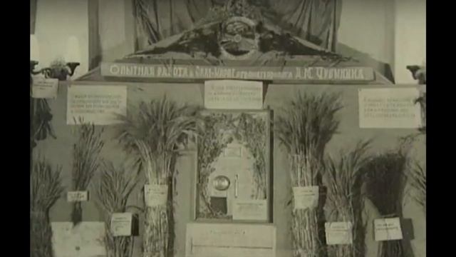 Дмитрий Чубынин и пятерочка смотреть онлайн