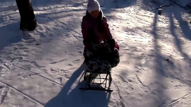 VLOG: Прогулка в лесу. Зимний лес чудесен. Катаемся с горки. смотреть онлайн