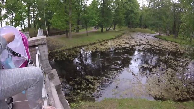 Прогулка по Гатчинскому парку |Санкт-Петербург смотреть онлайн
