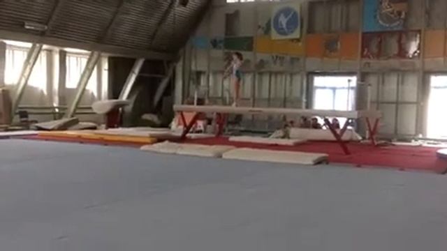 Чемпионат Луганской области по спортивной гимнастике смотреть онлайн