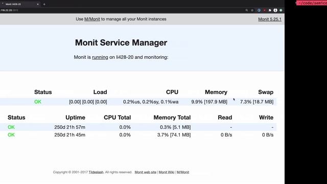 Website Monitoring Tools I: Monit and Syslog Alerts смотреть онлайн
