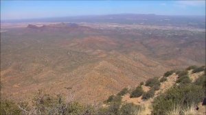 Sonoran desert