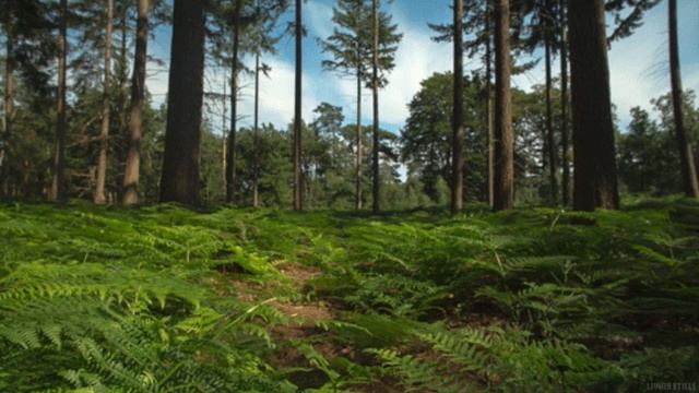 Утренняя медитация. Музыка для медитаций. смотреть онлайн