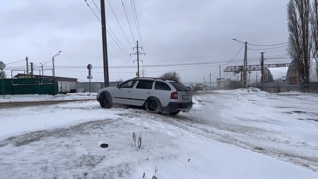 Школа Октавия Скаут