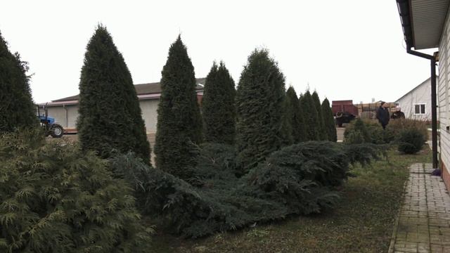 Мара Кандратовiча смотреть онлайн