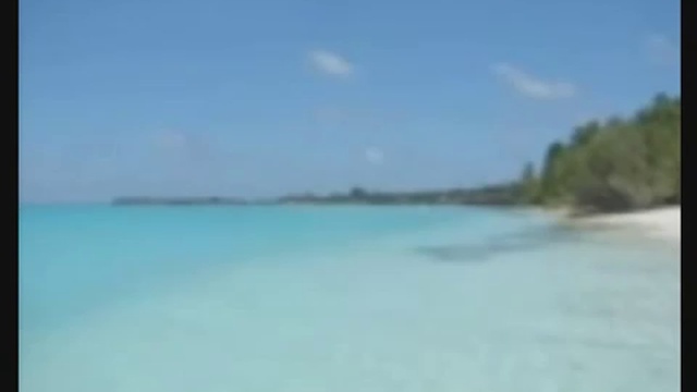 Don Mescall - Sunset Of Gold