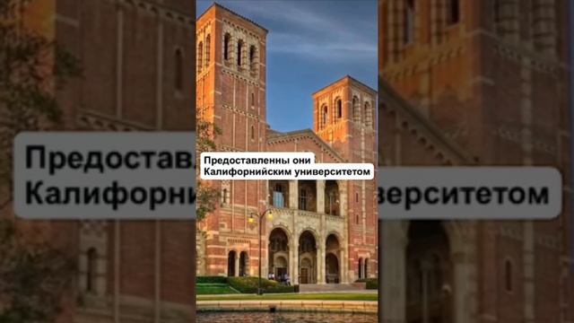 ПОЧЕМУ НЕ СТОИТ ЕХАТЬ В ДИСНЕЙЛЕНД?! смотреть онлайн