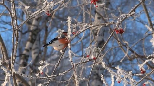 Календарь праздников 18 декабря смотреть онлайн