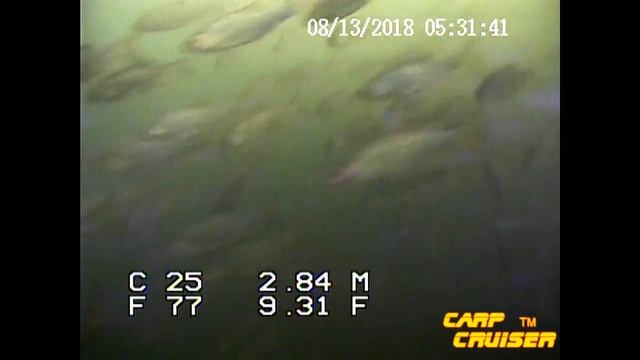 Подводная видео камера CC5-Pro-DT-HD смотреть онлайн