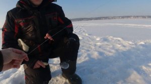 ЗИМНЯЯ РЫБАЛКА У ЗАТОПЛЕННОГО МОНАСТЫРЯ. ЮРЬЕВЕЦ. ВОЛГА.