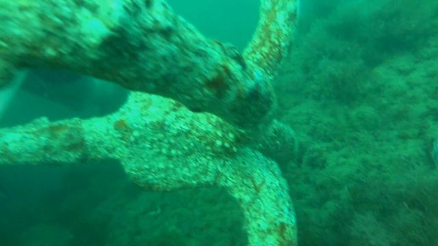 На дне Черного моря смотреть онлайн