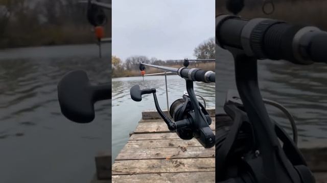 Рыбалка в Ростовской области на на карпа. Водоём водопадный закрытие сезона 2021. смотреть онлайн