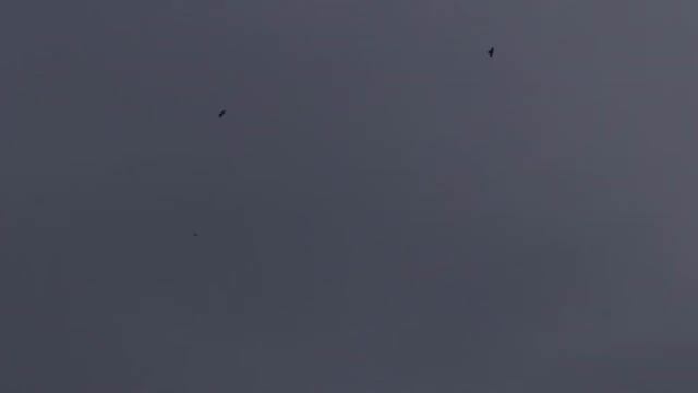 тильда 1 смотреть онлайн