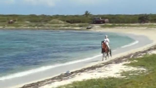 Dominikana Cabeza de Toro wycieczka konna www.dominicana.com.pl смотреть онлайн