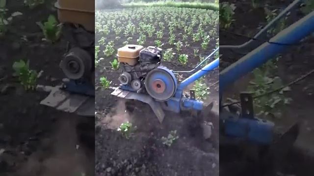 Окучник роторный для мотоблока (вместо колес) смотреть онлайн