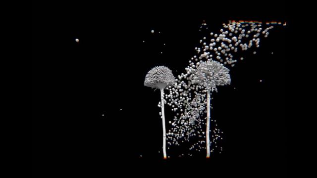 ASPERGILLUS смотреть онлайн