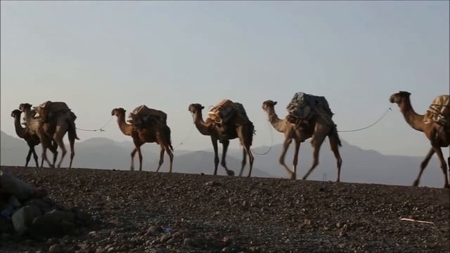 Там, где природа становится убийцей! Самые опасные места на Земле! смотреть онлайн