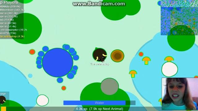 Белый медведь vs Морж(Mope.io) Меня победил медведь!! смотреть онлайн
