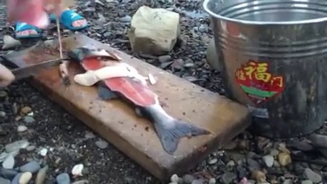 Разделка красной рыбы за несколько секунд смотреть онлайн