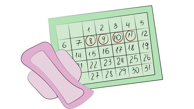 Мои месячные нормальны? Какой должна быть менструация у девочки-подростка (анимация) смотреть онлайн