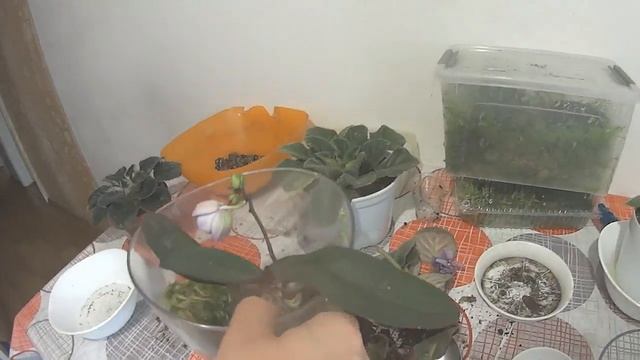 Дети не хотят помогать смотреть онлайн