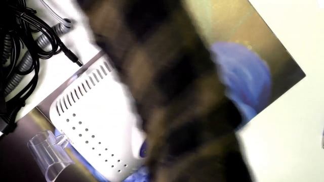 Как выбрать аппарат для маникюра | Прямая трансляция от Imkosmetik | Ведущая Елена Бут