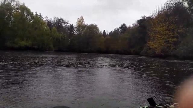 Kayaking In The Rain! ?️ With Intex Challenger K1 $50 Inflatable Kayak - Washington Park Arboretum