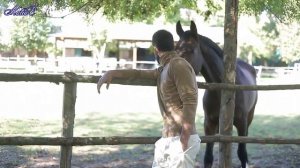 №118 - Фотосессия