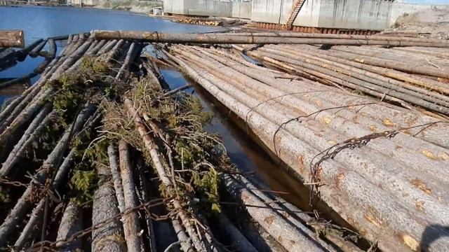 Куриные мозги.... смотреть онлайн