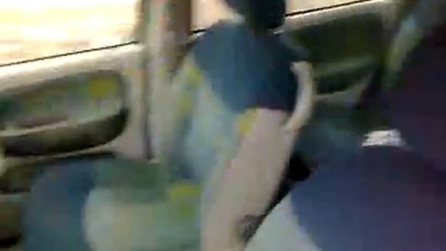 RENAULT MEGANE SCENIC 2001 1.4L 1390CM3 BENDZ MECHAN VIENATUR 4_5D EN PILKA AUTHENTIQUE EURO смотреть онлайн