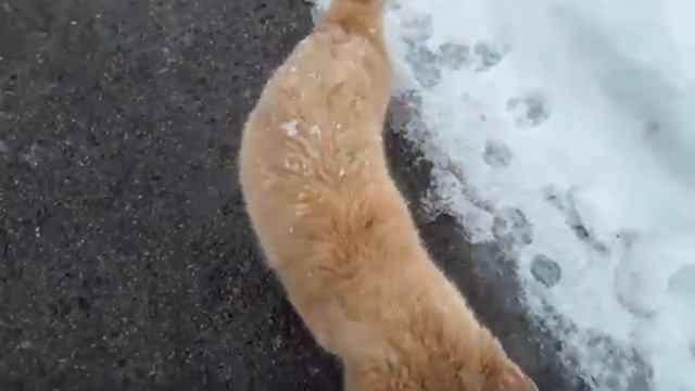 Ольга Поэстова стихотворение "Весна стихами говорит" смотреть онлайн