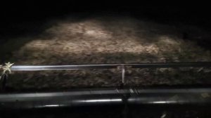 Нормы высева озимой пшеницы